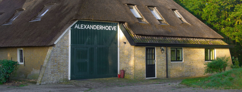 Alexanderhoeve in het ochtendlicht