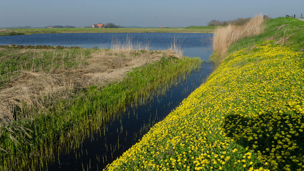 Lentedijkje nabij Alexanderhoeve